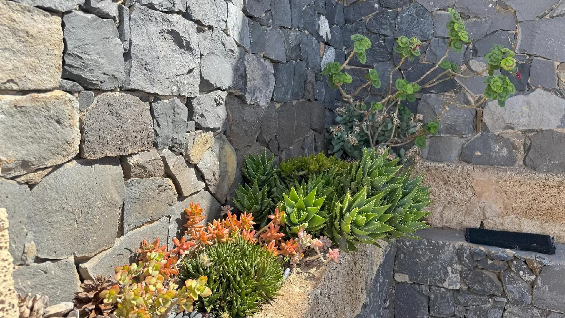 Casa Rural Balcones De Erques Guía de Isora Σπίτι διακοπών